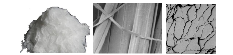利澳国际注册科技