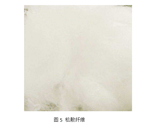 利澳国际注册科技