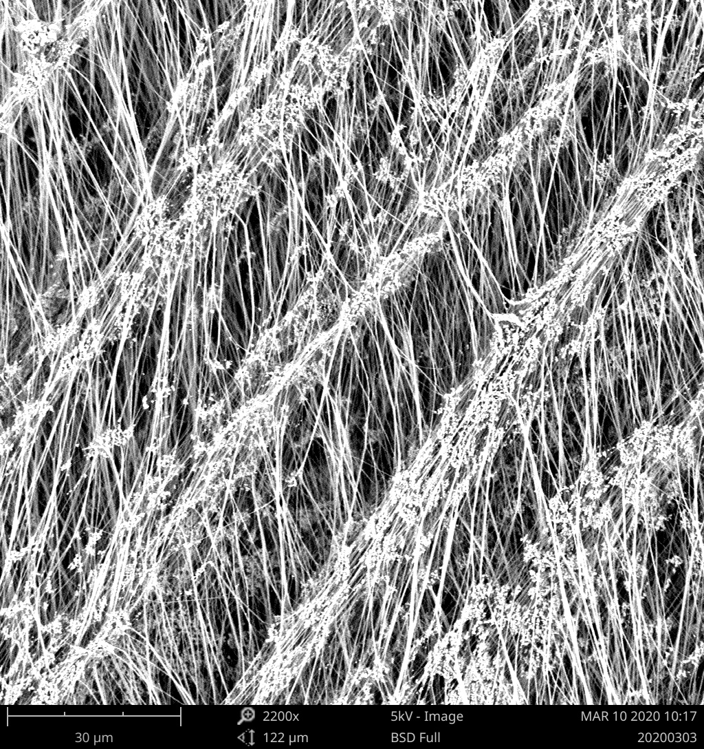 利澳国际注册科技