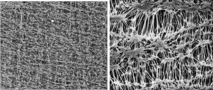 利澳国际注册科技