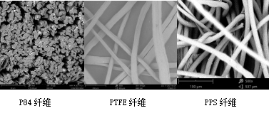 利澳国际注册科技