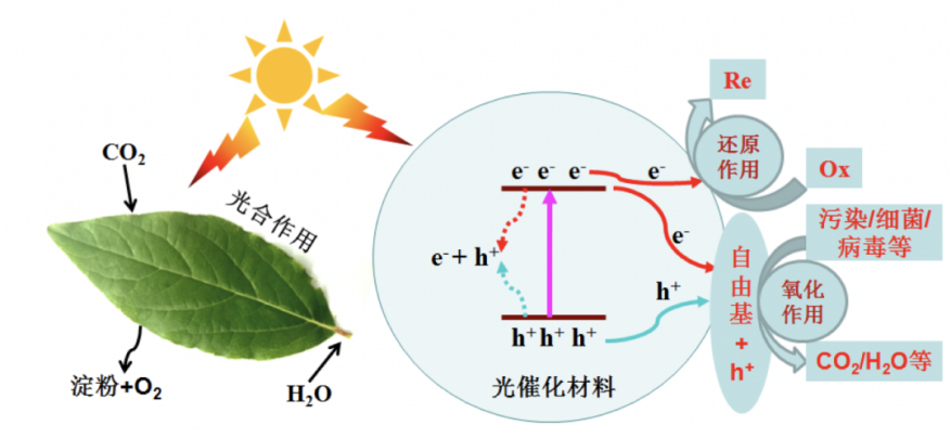 利澳国际注册科技