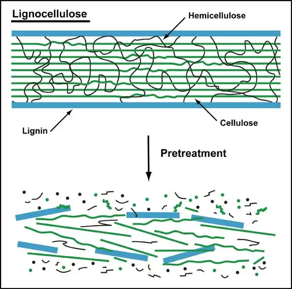 利澳国际注册科技