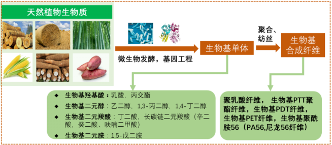 利澳国际注册科技