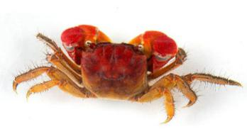 利澳国际注册科技