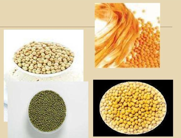 利澳国际注册科技