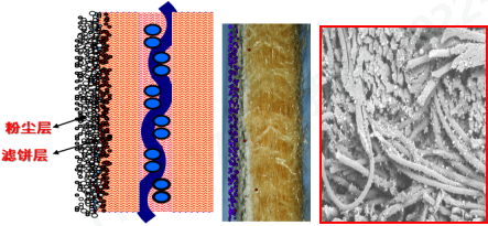 利澳国际注册科技