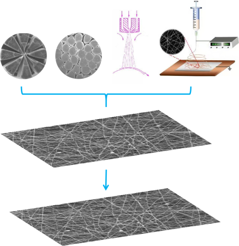 利澳国际注册科技