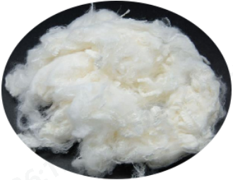 利澳国际注册科技